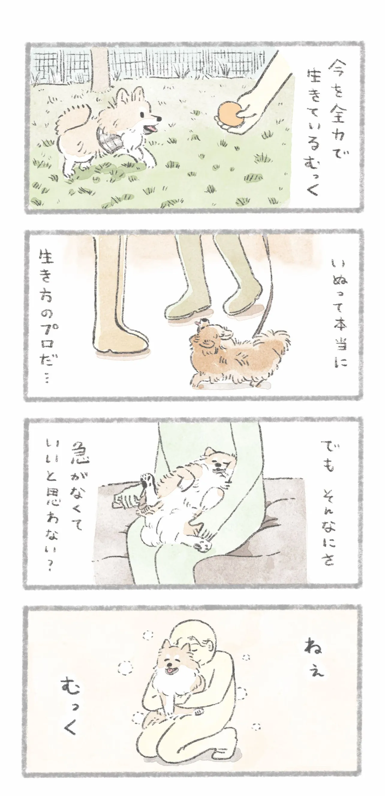 『ねぇ、むっく』(3／3)