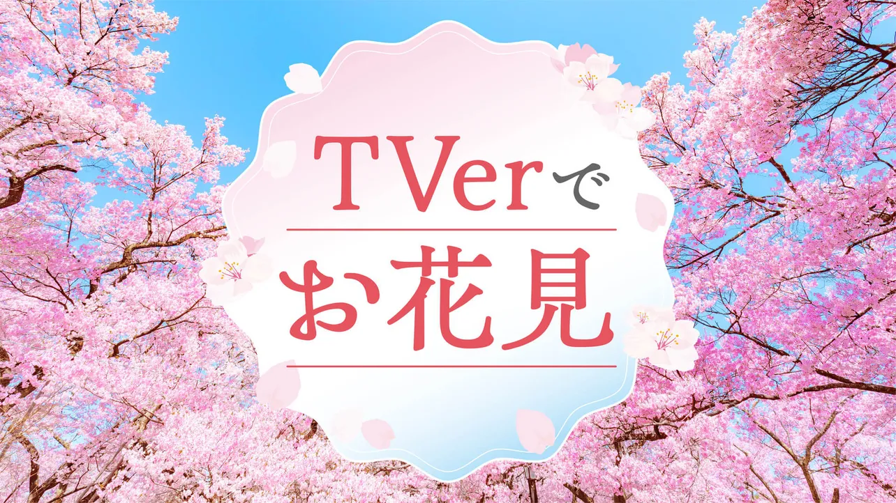 TVer「お花見特集」