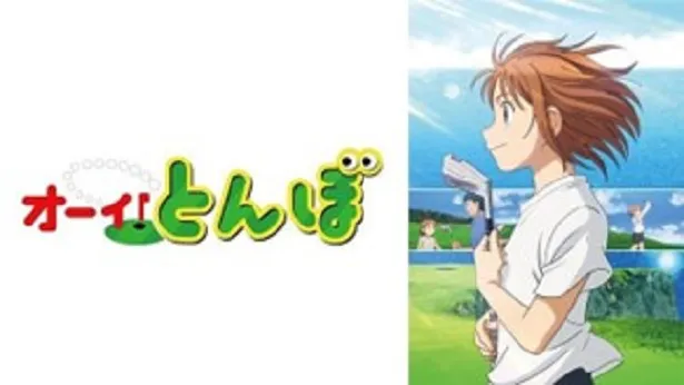 オーイ！とんぼ 1〜最新52巻セット 全巻セット　アニメ化 オーイ！とんぼ 1〜最新52巻セット 全巻セット アニメ化 オーイとんぼ