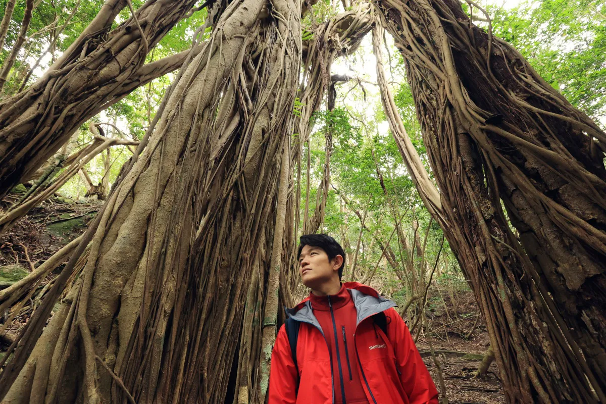 【写真】鈴木亮平が屋久島ロケへ、木々のパワーを感じる