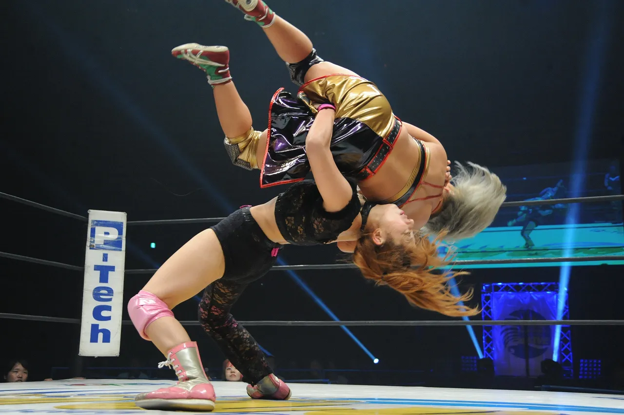 超絶貴重 女子プロレス wave 特別衣装 はっぴ アウター | spgs.mwe.go.ug