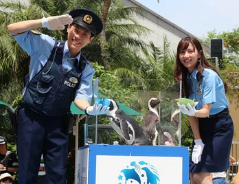 横山だいすけ、ペンギンの餌やり失敗に生歌で会場を沸かせる！