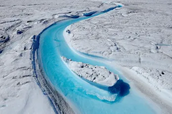 ディズニーがナショナルジオグラフィックと共に「ourHOME」を開始　“地球の今”が感じられる特別映像を公開