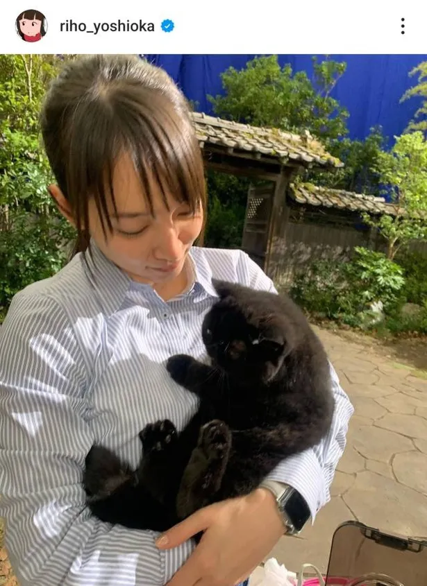  【写真】黒猫ちゃんを優しく抱き上げる吉岡里帆