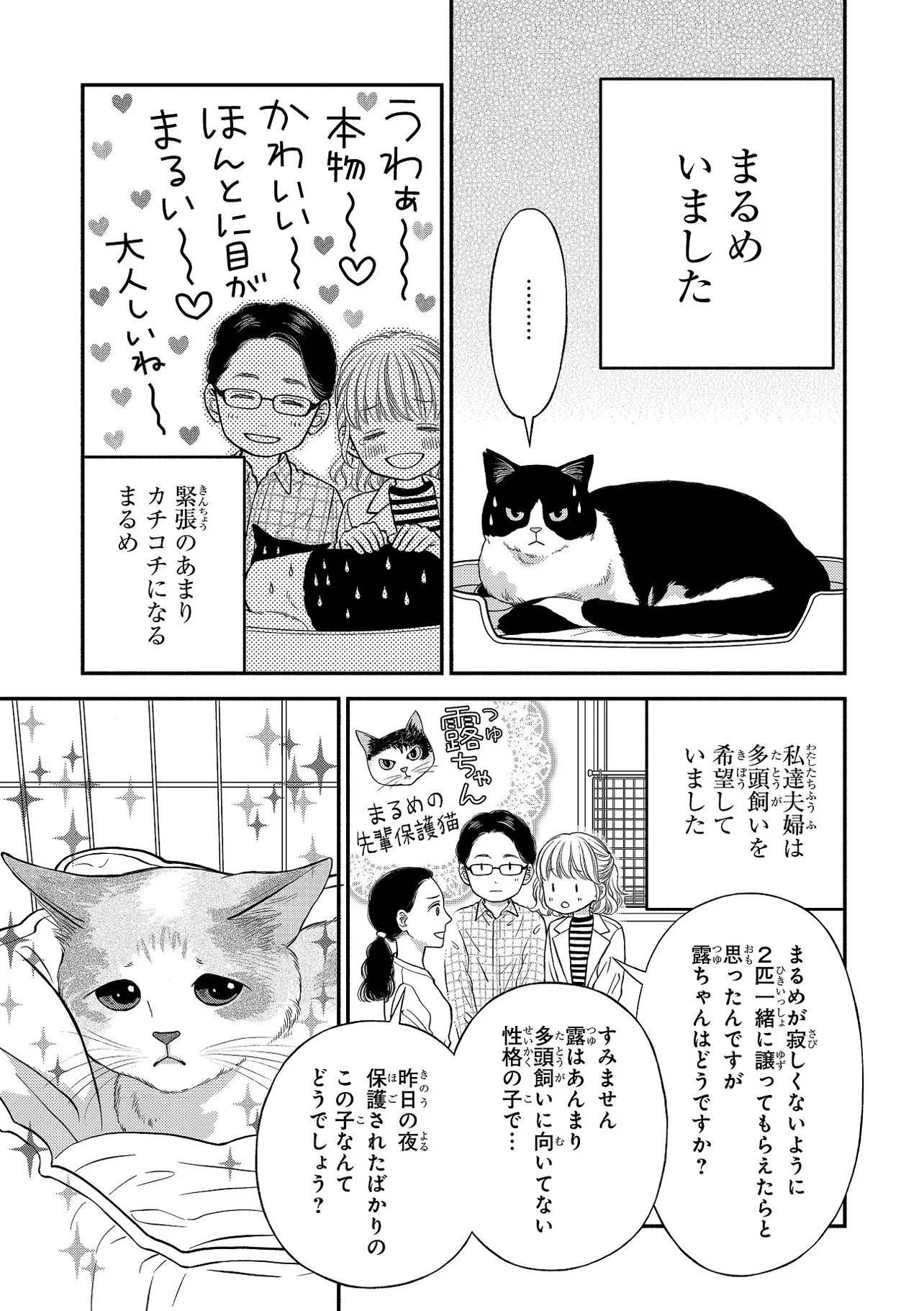 まるめいと私⑤