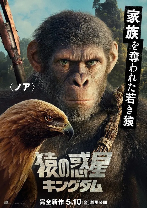  【写真】日本版声優・松岡禎丞も「意思をもった青年です」と絶賛する主人公の若き猿・ノア