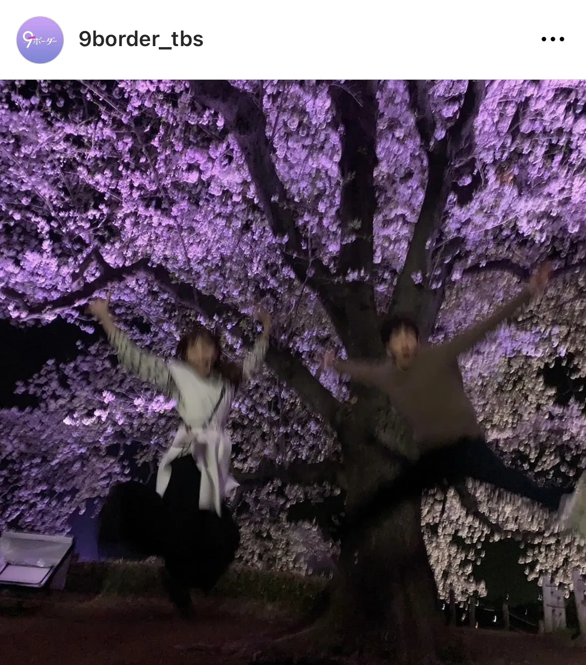  【写真】川口春奈と松下洸平、桜の前で大はしゃぎするオフショットがかわいすぎる