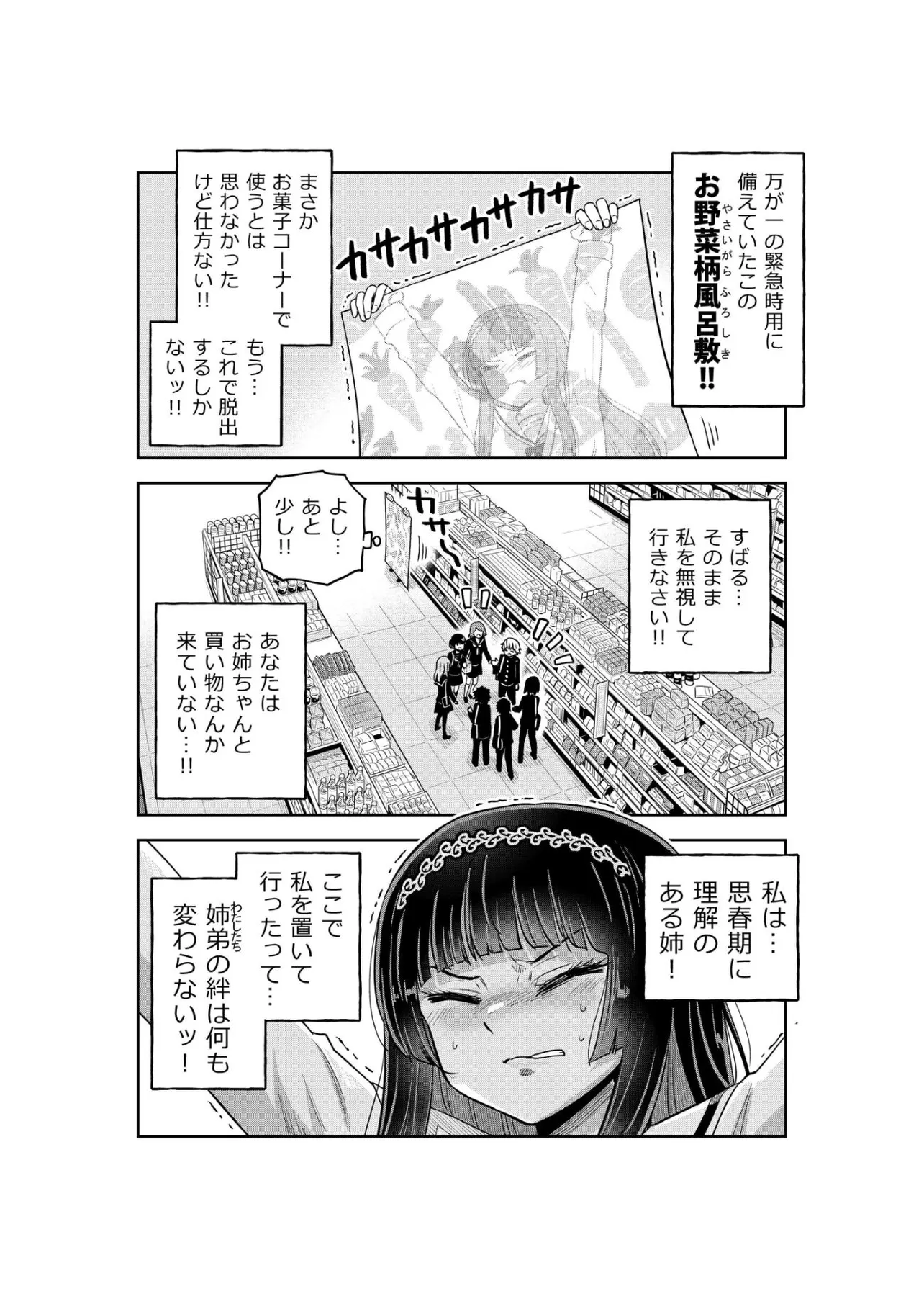 『思春期に理解のある姉の話』(22／26)