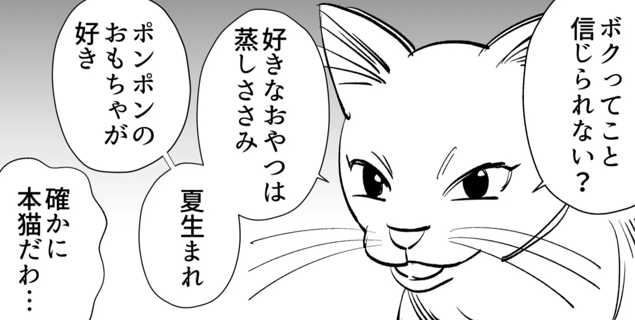 次々と自身のことを喋り始める飼い猫