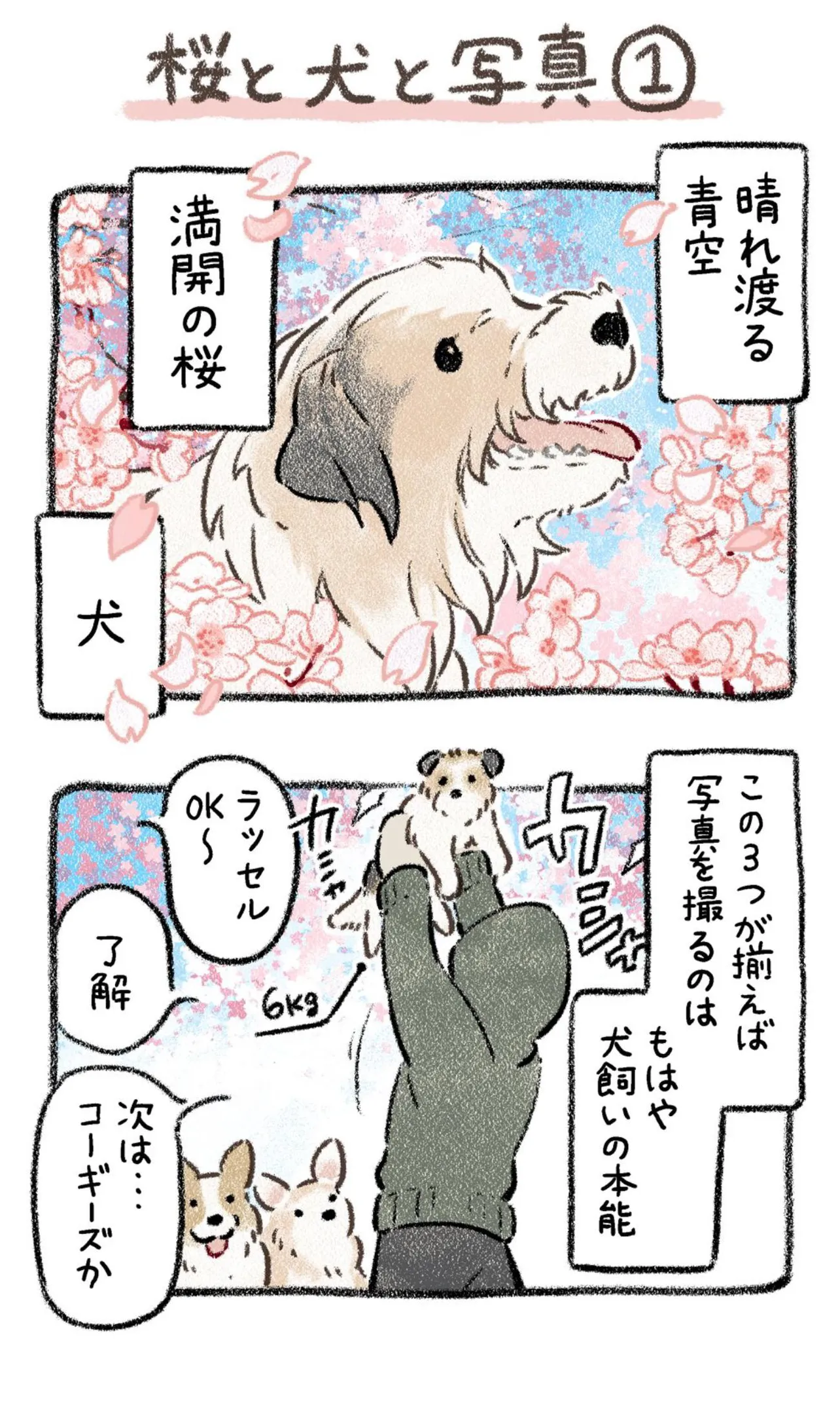 『桜と犬と写真』(1／11)
