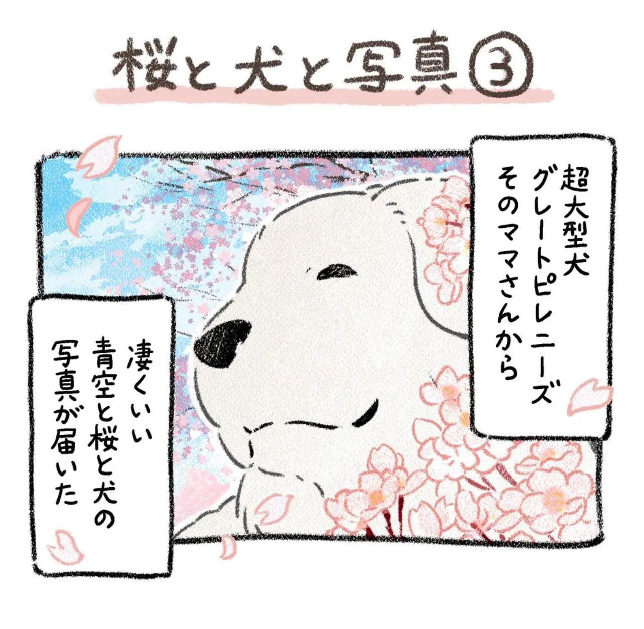 『桜と犬と写真』(9／11)