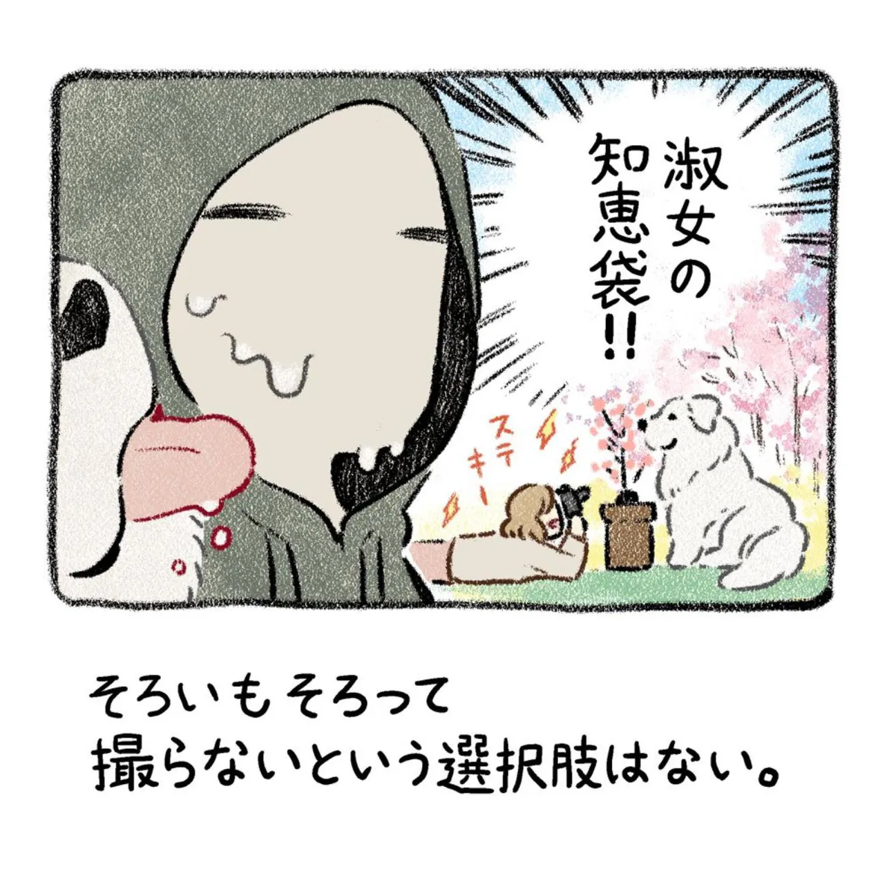 『桜と犬と写真』(11／11)