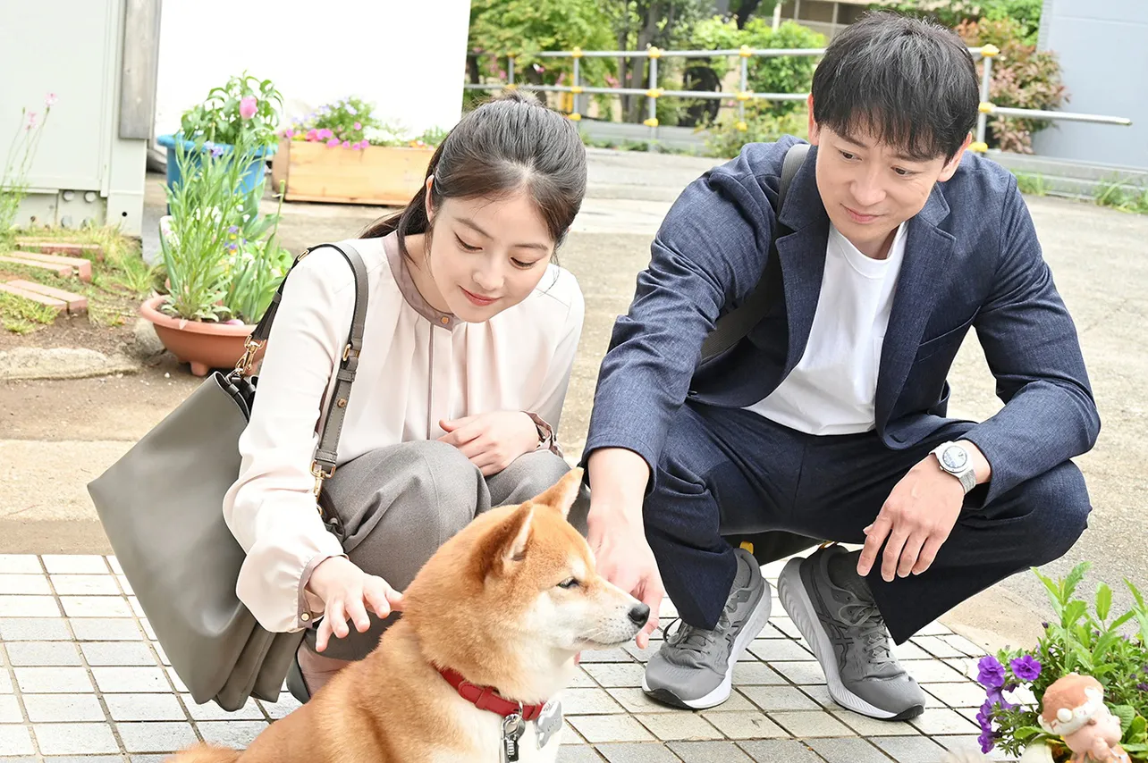 【写真】第4話に登場した柴犬のイチローを撫でる舞(今田美桜)たち