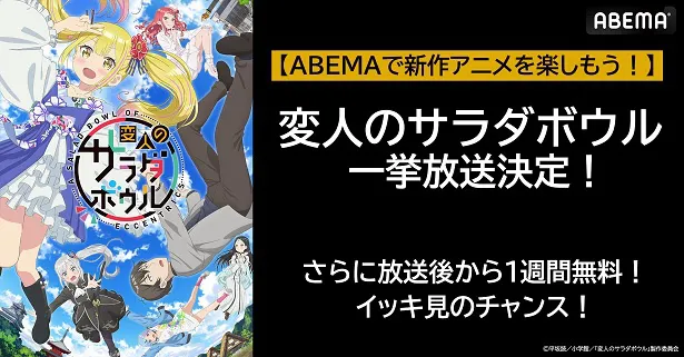 無料振り返り一挙放送が決定した「変人のサラダボウル」