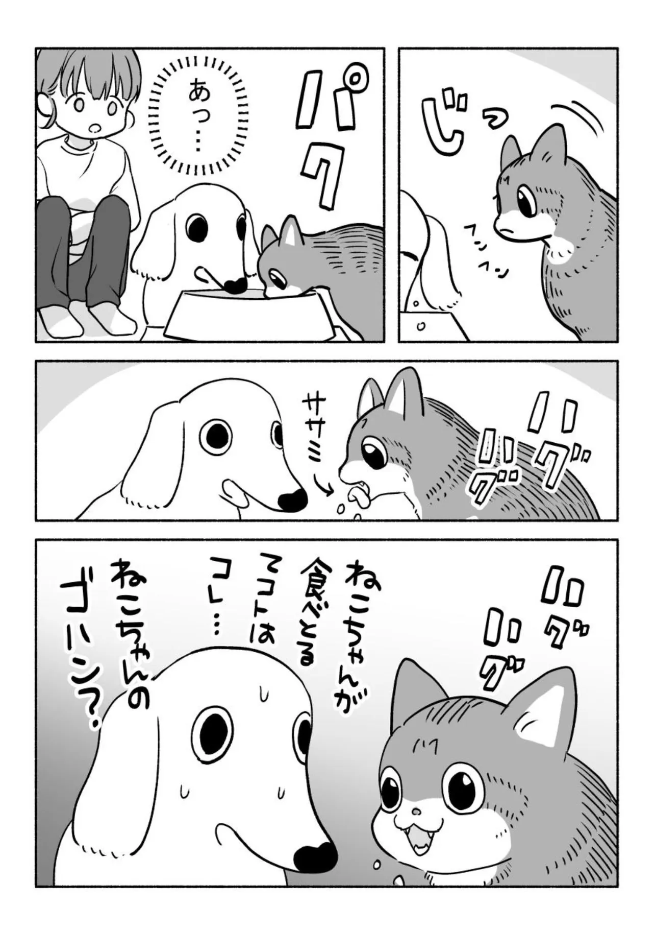 『犬の許容値』(2／4)