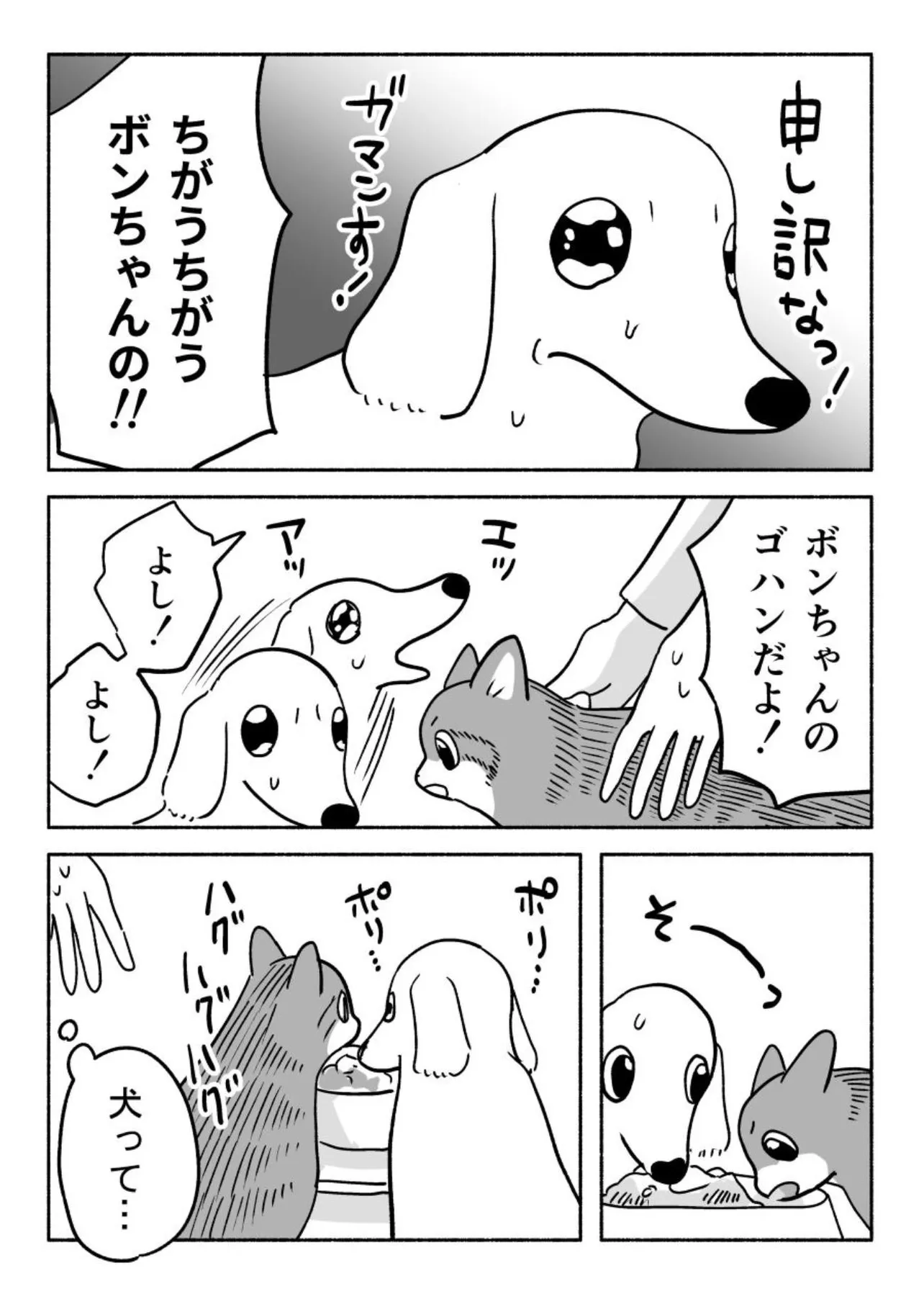 『犬の許容値』(3／4)