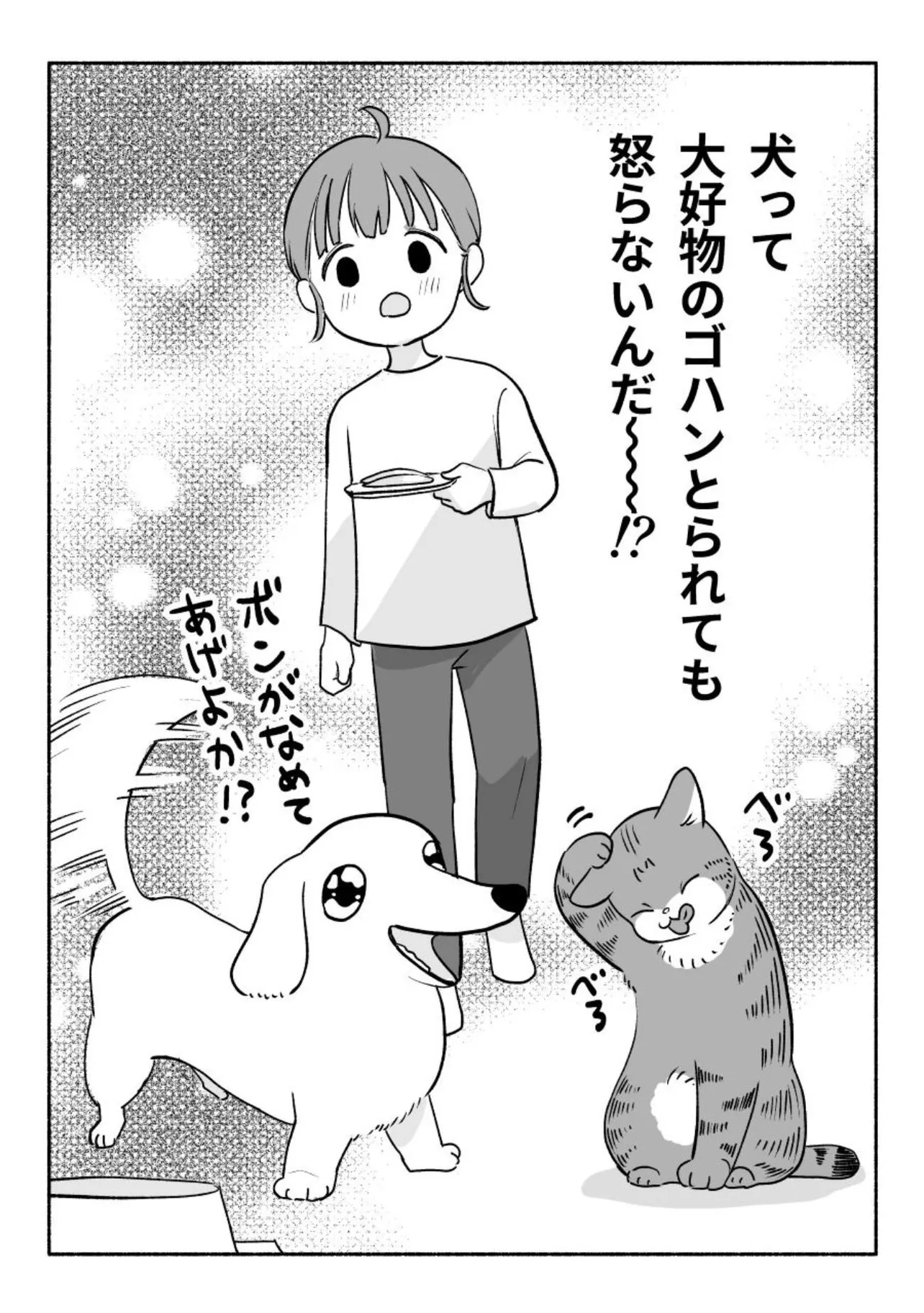 『犬の許容値』(4／4)