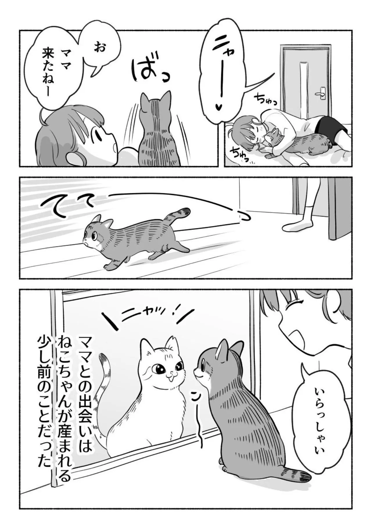 『猫を保護するまでの話』(1／4)