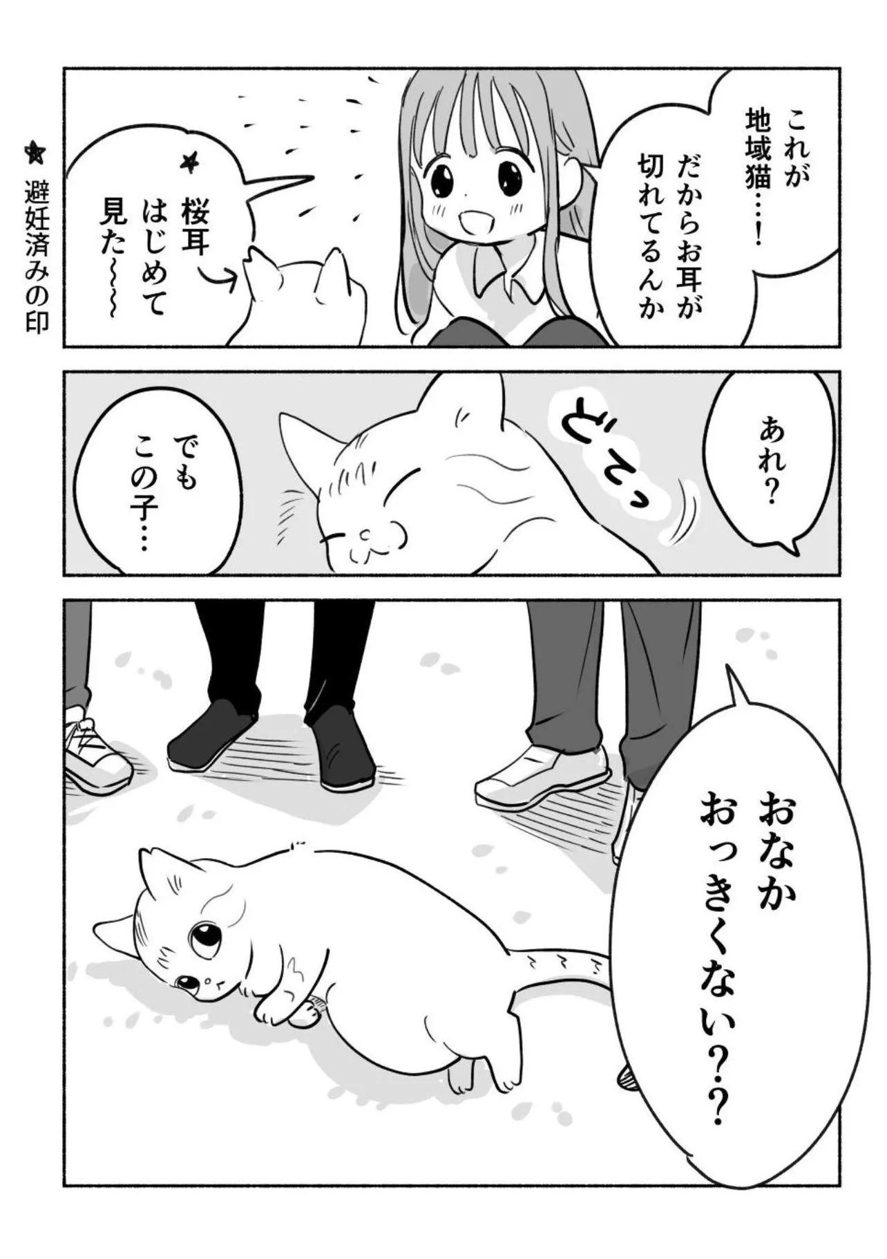 『猫を保護するまでの話』(3／4)