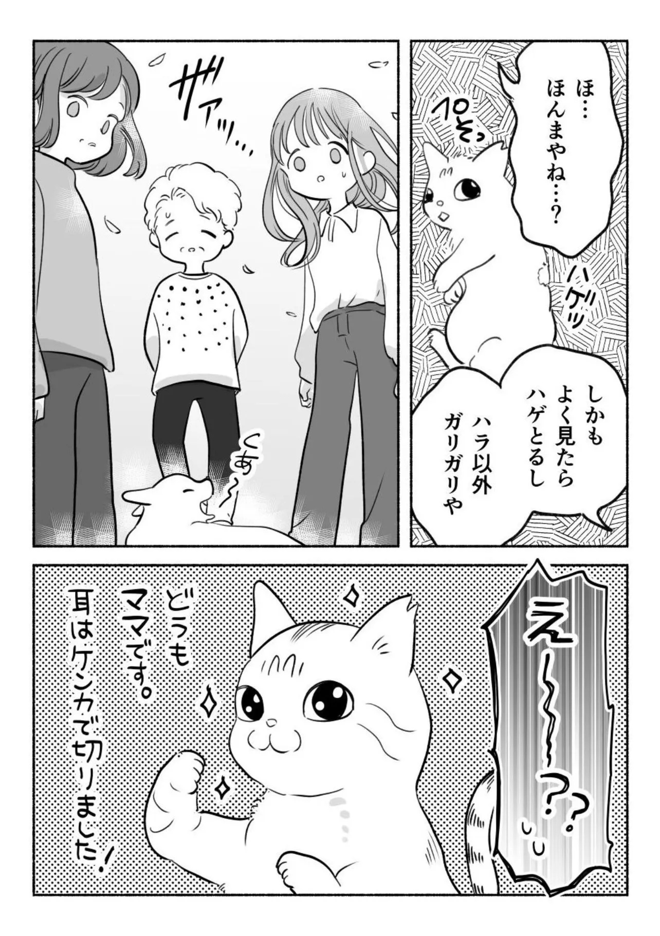 『猫を保護するまでの話』(4／4)