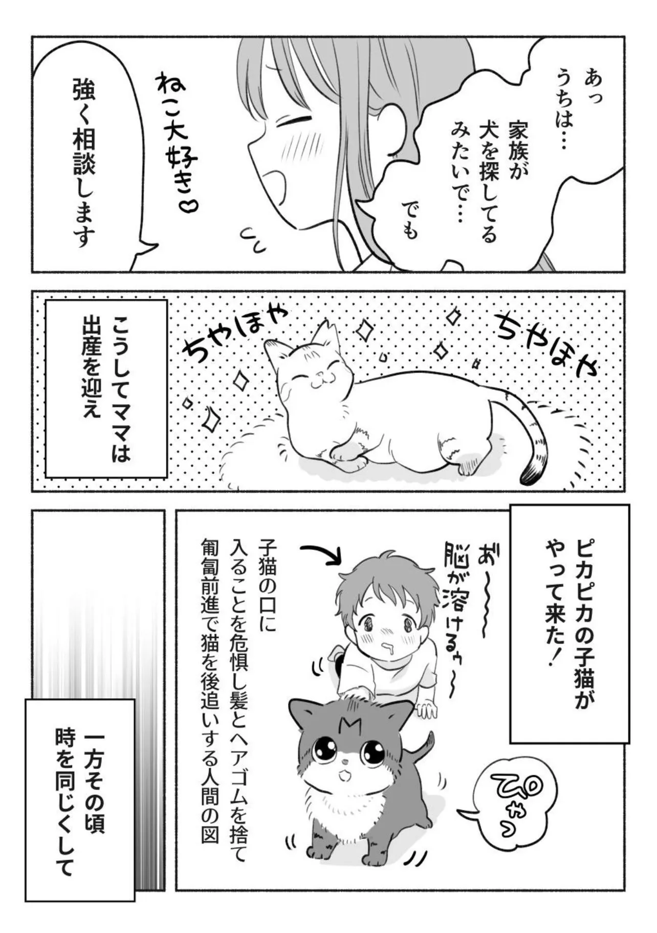 『猫を保護するまでの話 2』(4／5)