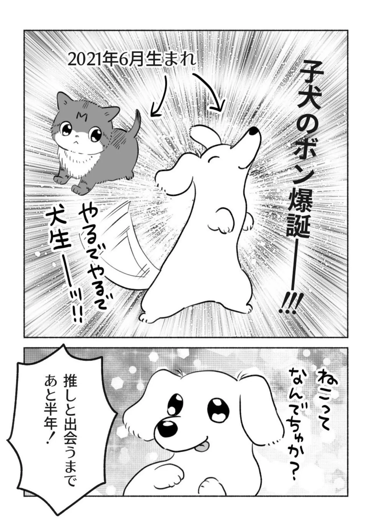 『猫を保護するまでの話 2』(5／5)