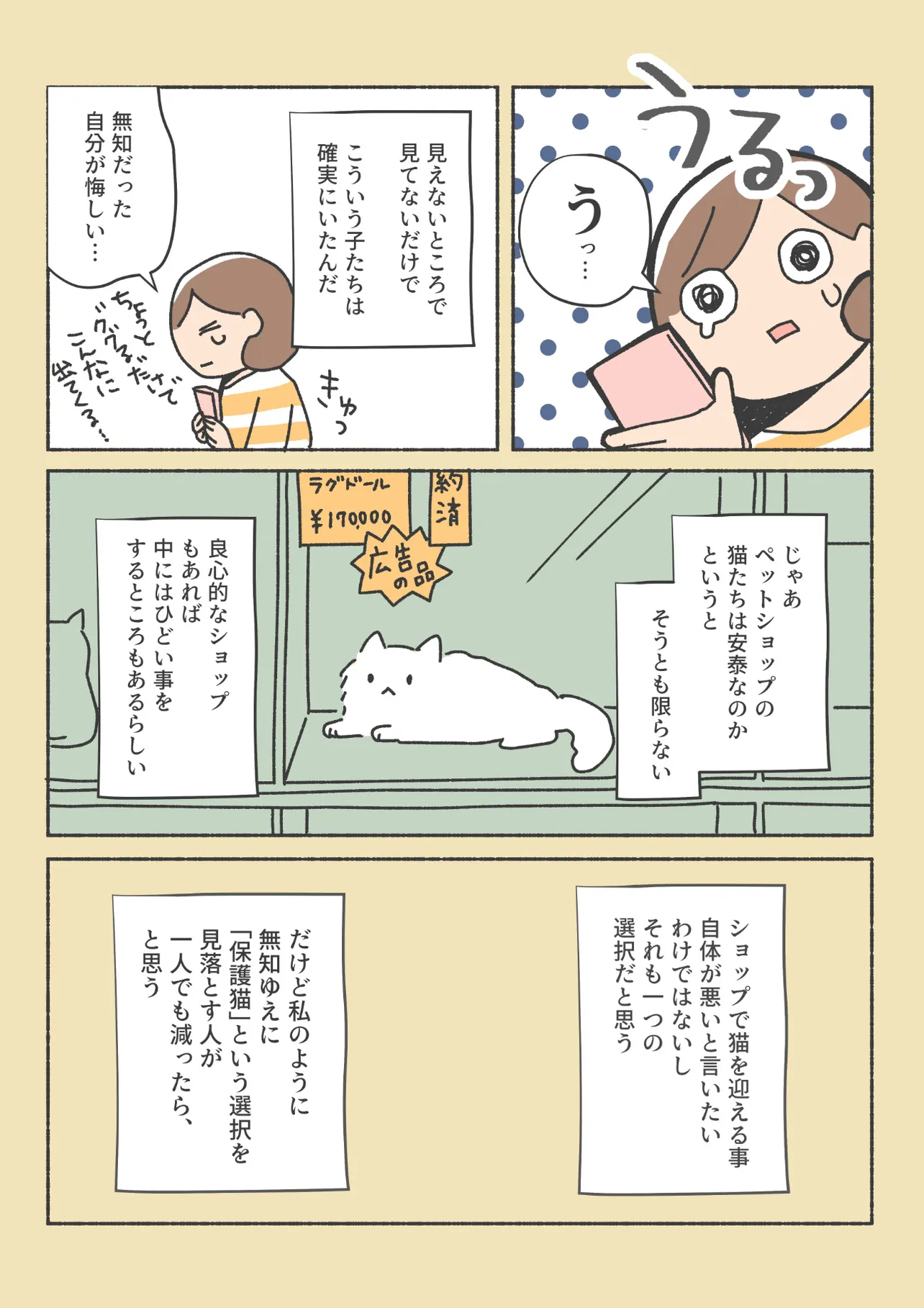 『保護猫が家猫になるまで』(6/48)