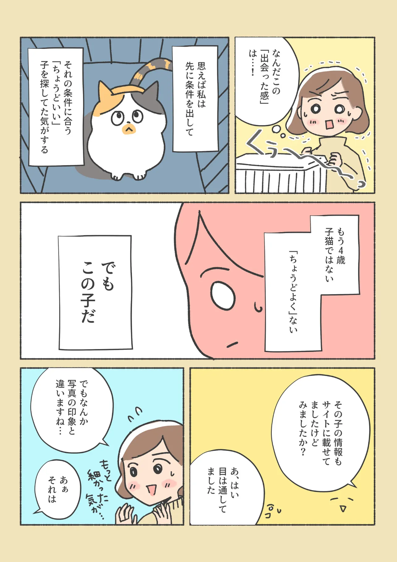 漫画】ネグレクトにあっていた保護猫と家族になりたい…引き取りまでの過程を描いた作品に「戸惑いや決意がリアル」「素晴らしいメッセージ」 |  WEBザテレビジョン