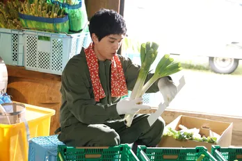 坂東龍汰“智也”の長濱ねる“莉子”への思いが爆発、男気あふれる行動に称賛の声<366日>