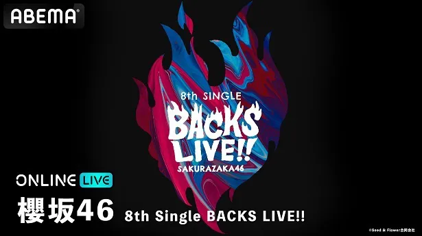 【写真】生配信された櫻坂46「8th Single BACKS LIVE!!」
