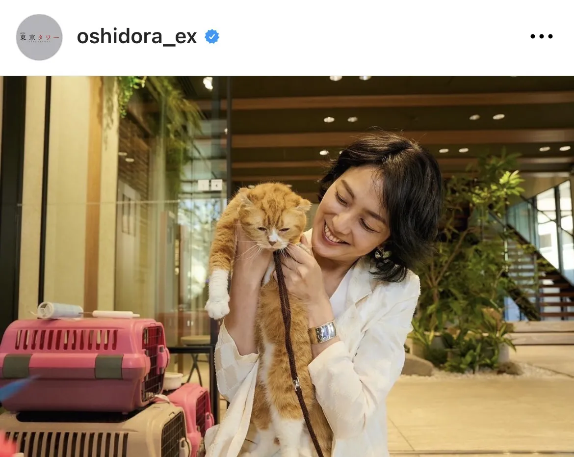 【写真】 猫と戯れる板谷由夏のオフショットに癒される