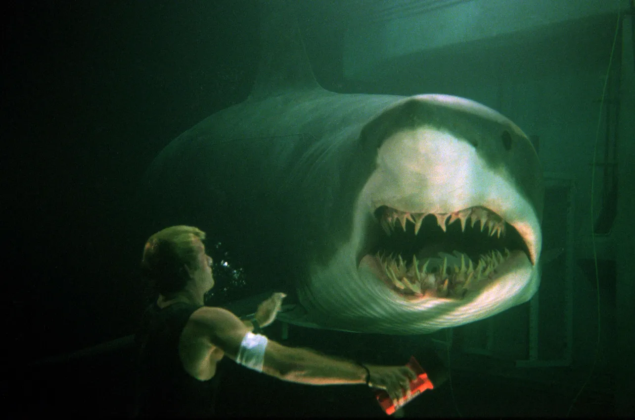 海の孤島でサメと死闘を繰り広げる「ディープ・ブルー（1999年）」はムービープラスにて放送