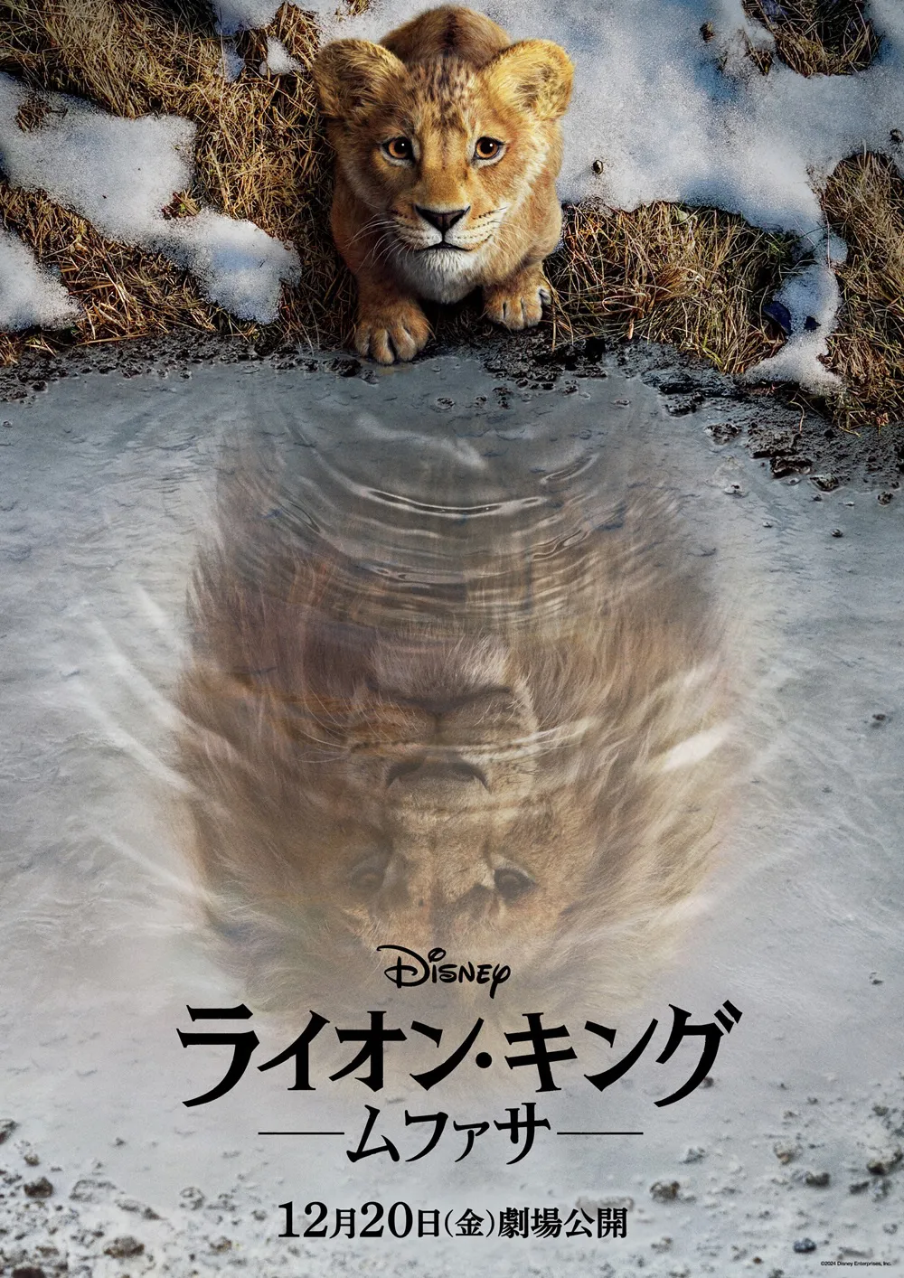 「ライオン・キング：ムファサ」ティザーポスター
