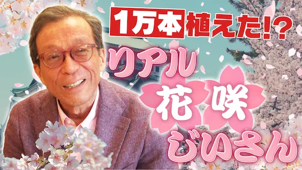 「超町人！チョコレートサムネット」6月9日(日)放送回より　リアル花咲かじいさん