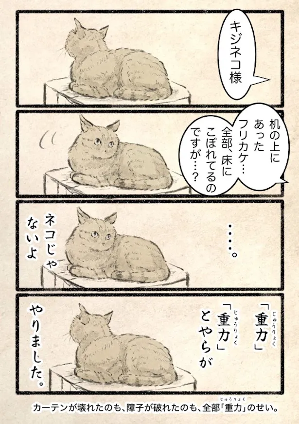 『なんで全部、ネコがやったと思うんだ。』