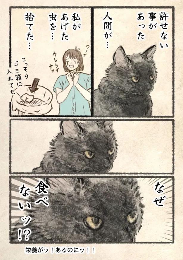 『許せないこと。』