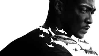 「キャプテン・アメリカ」シリーズのアンソニー・マッキーがサメと触れ合う