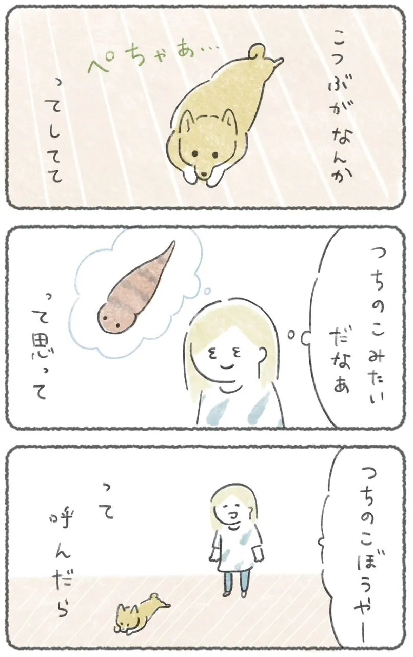 『犬のいる生活』(1／4)