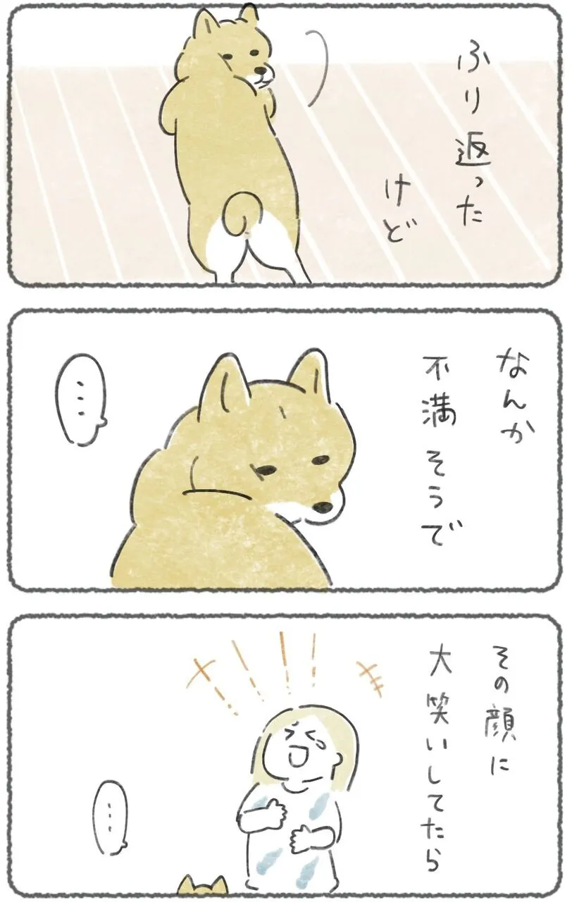 『犬のいる生活』(2／4)