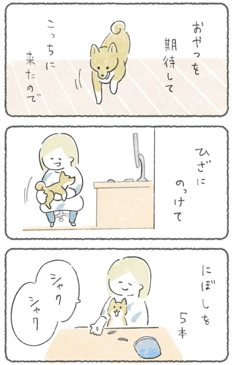 『犬のいる生活』(3／4)