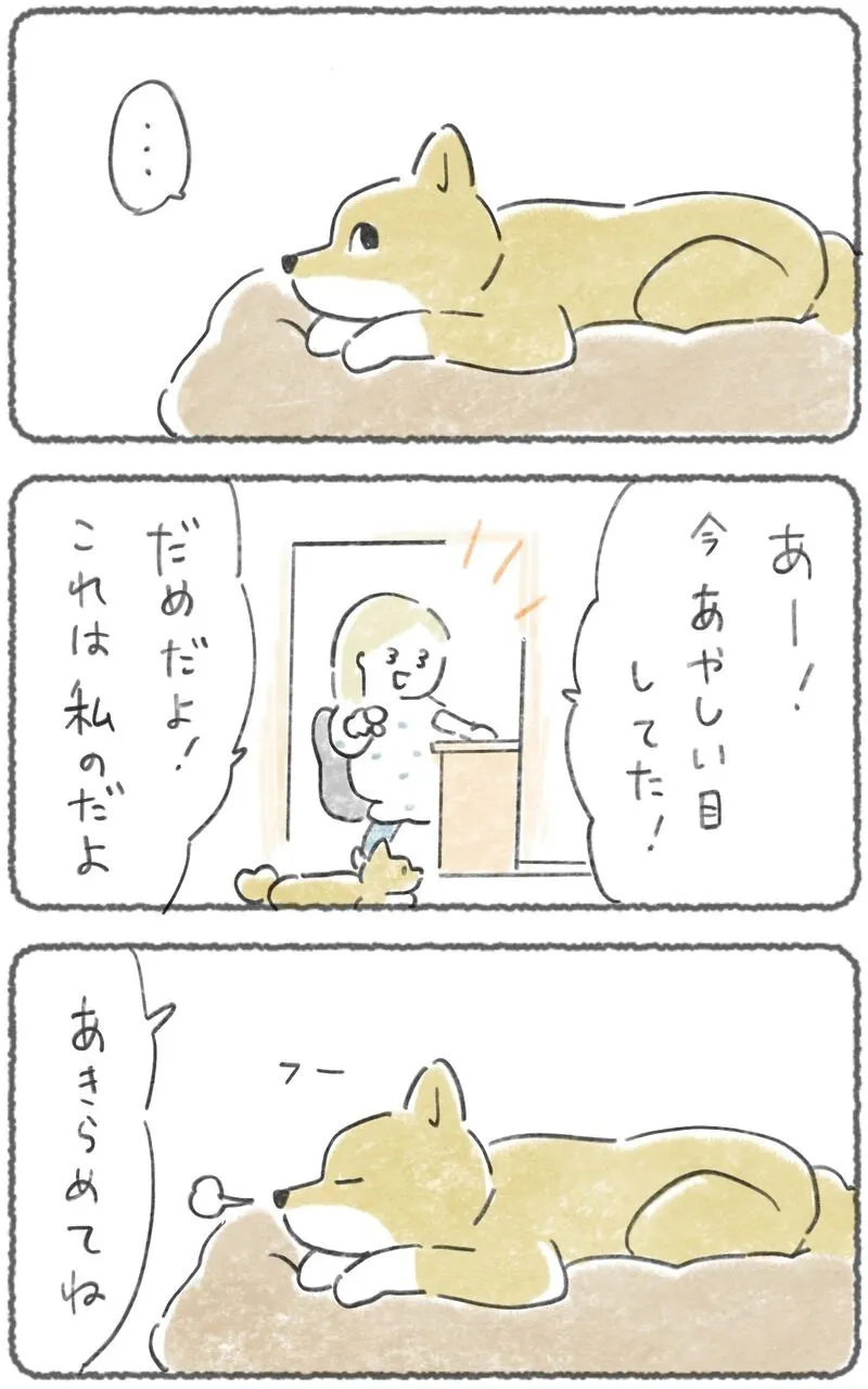 『そしらぬ顔でやってくる』(2／8)