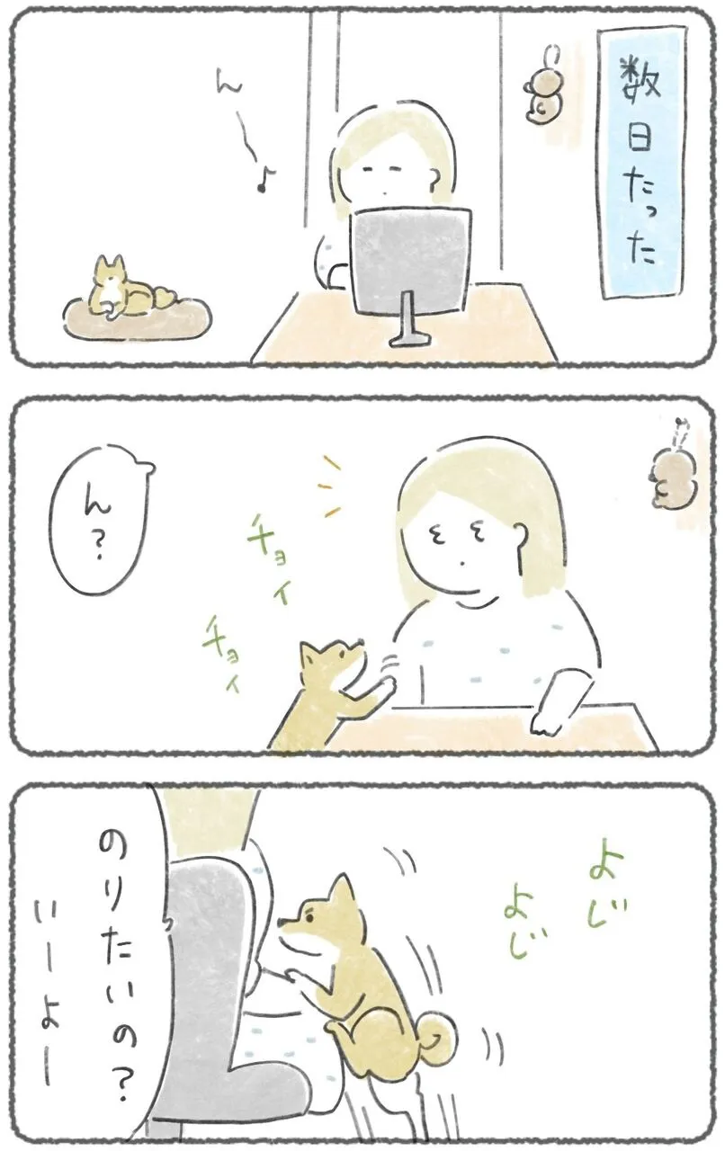 『そしらぬ顔でやってくる』(3／8)