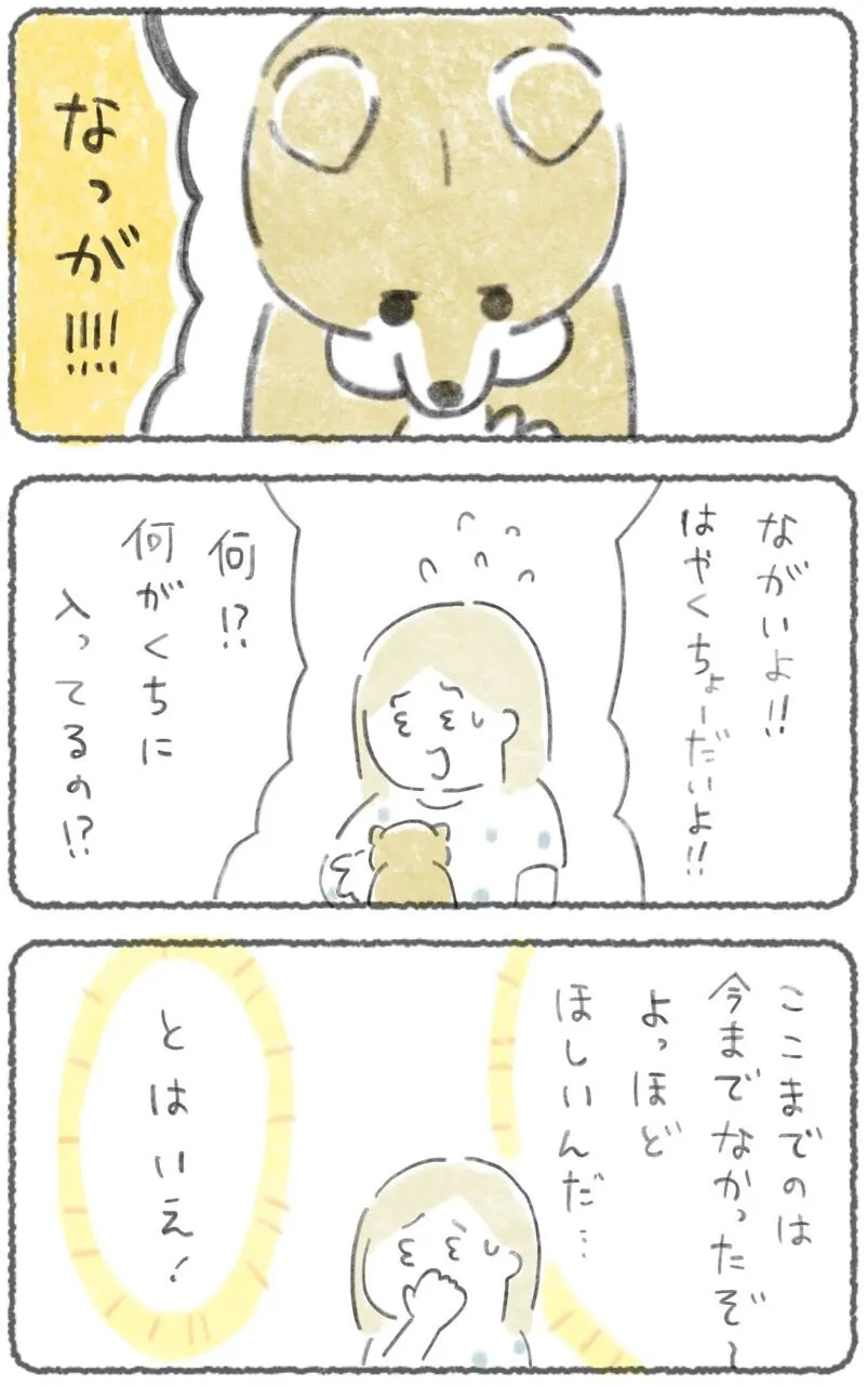 『どうやら秘密がある犬』(11／17)