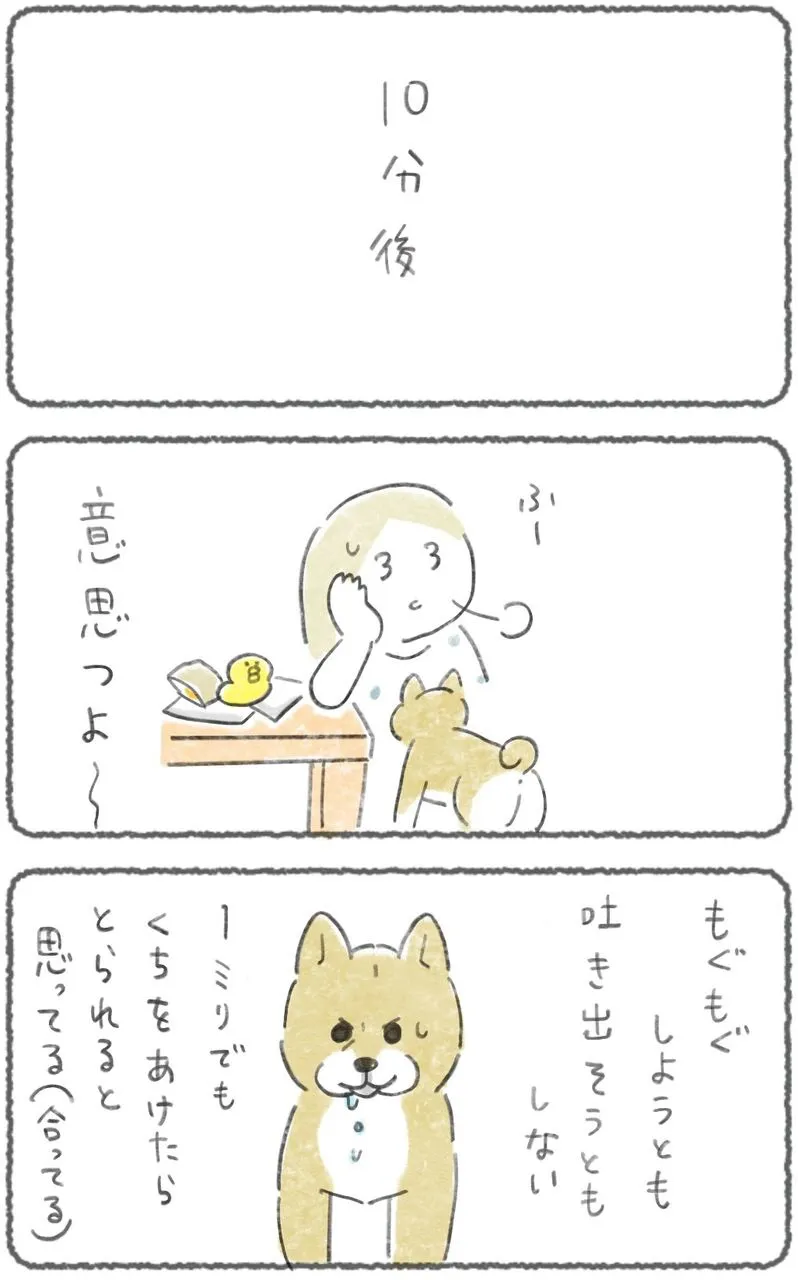 『どうやら秘密がある犬』(14／17)