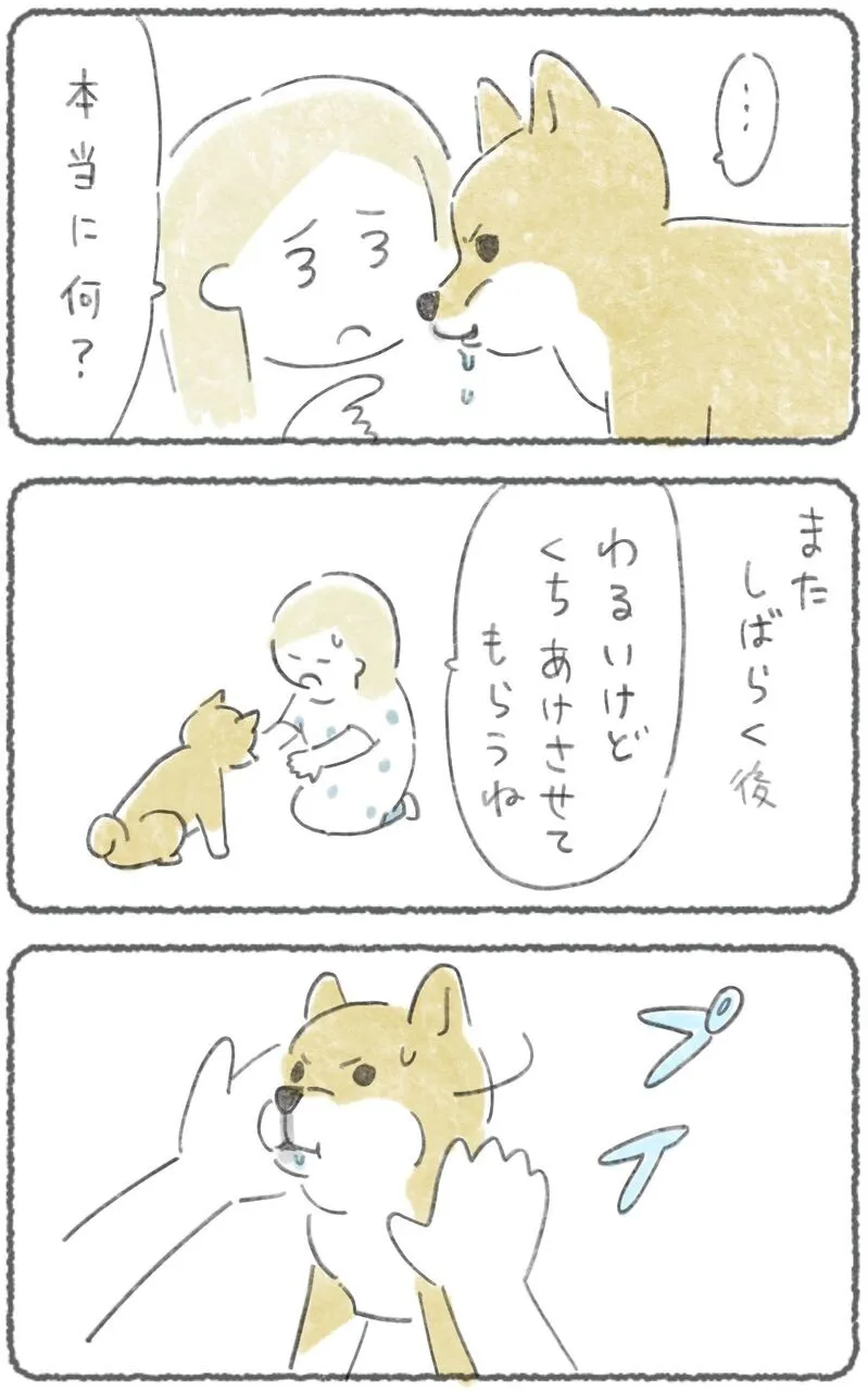 『どうやら秘密がある犬』(15／17)