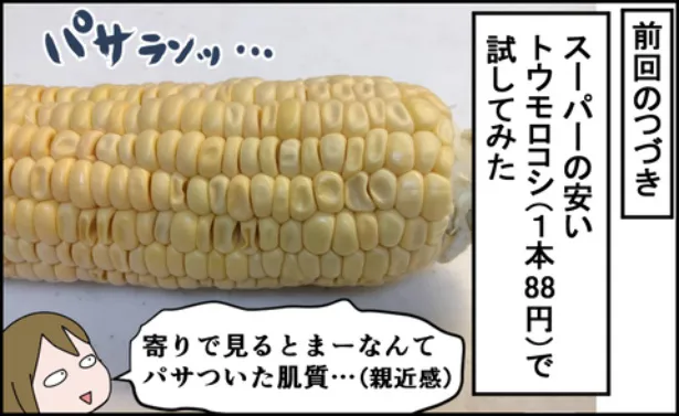 トウモロコシの美味しい茹で方レシピ が本当に美味しくなるのか検証した(7／13)