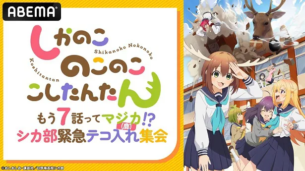 独占生放送が決定した特別番組「もう7話ってマジカ(鹿)!?シカ部緊急テコ入れ集会」