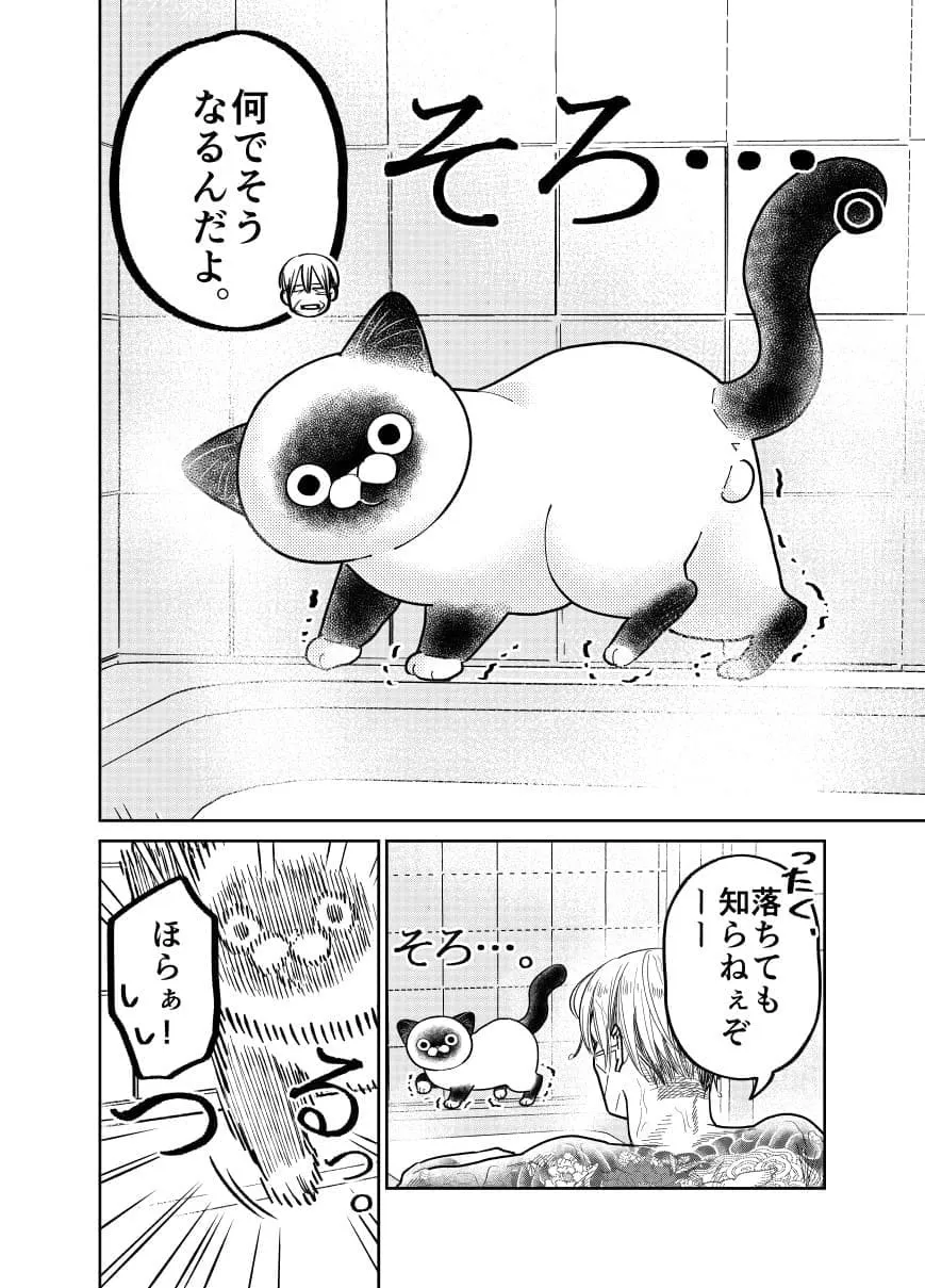 「野良猫にお風呂場をカチ込まれた元極道の話。」(4/14)