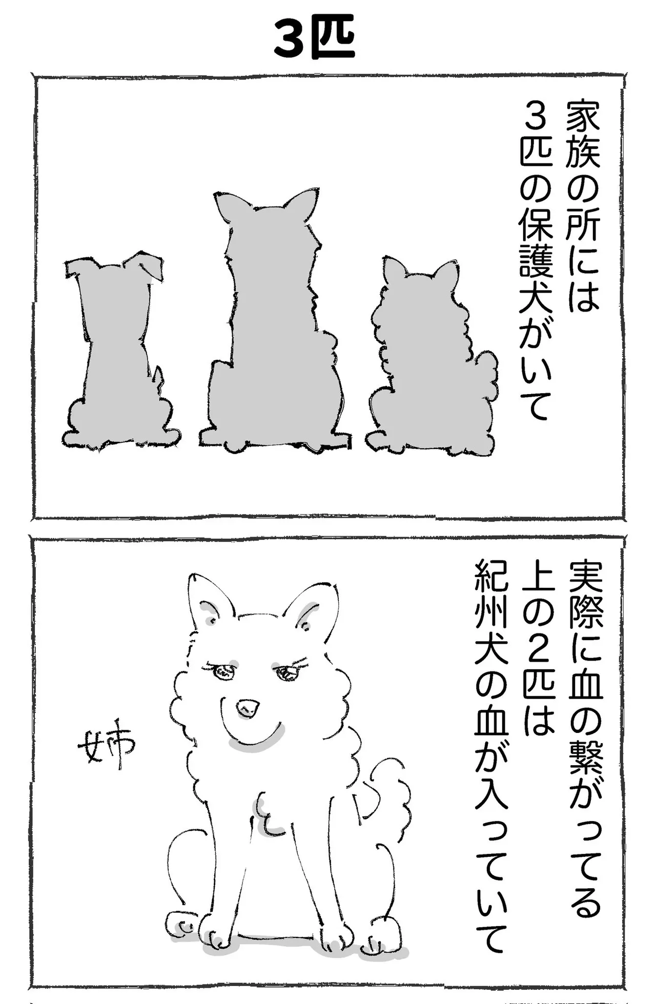 『うちの犬のルカ。』(1／12)