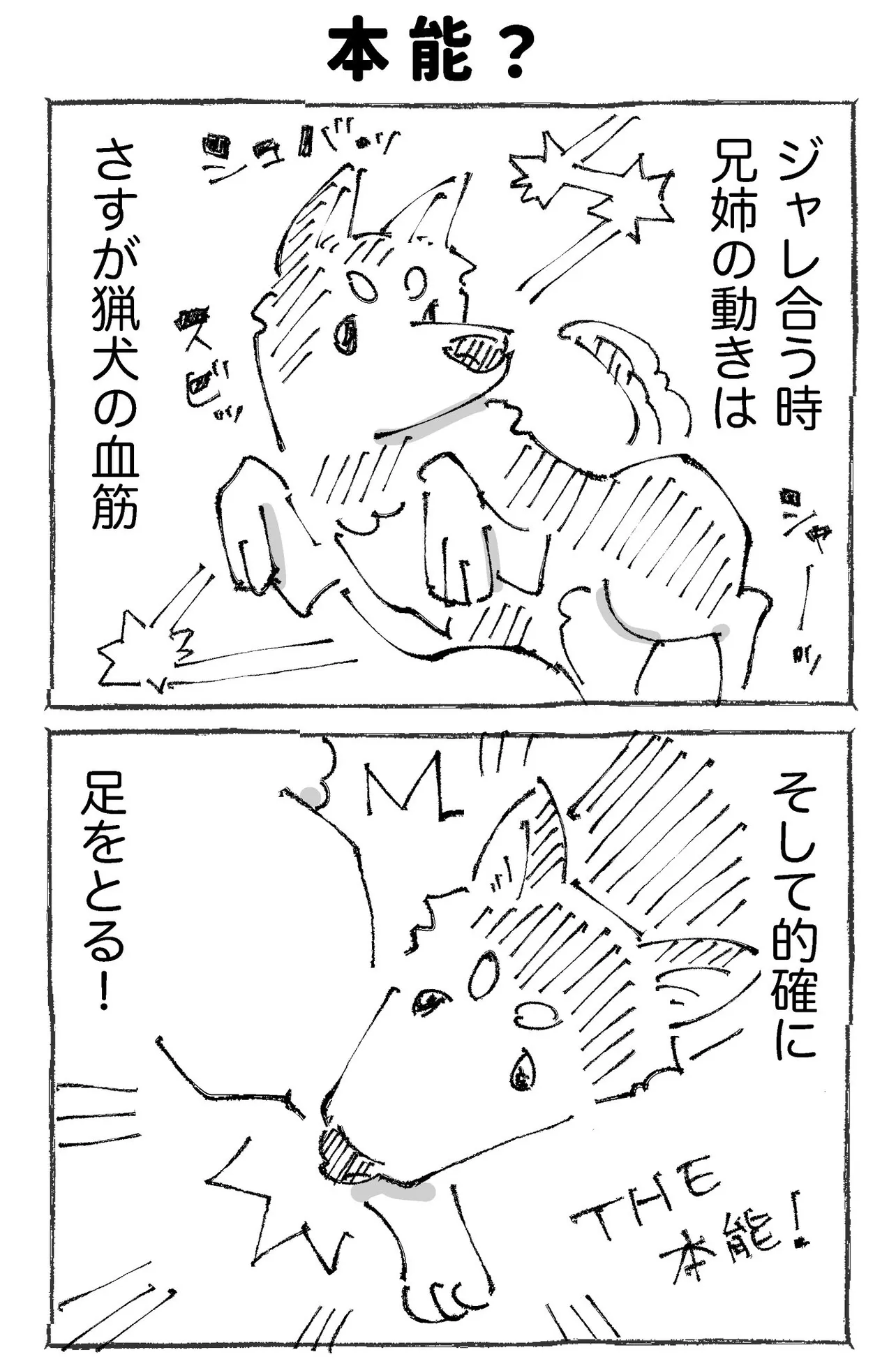 『うちの犬のルカ。』(3／12)